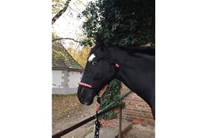 PFERDELINIS Cavezza per cavalli con corda, imbottita su naso e collo, ideale per lavori di terra, formazione di cavalli, allenamento (nero-rosa-verde)