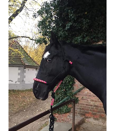 PFIFF Knotenhalfter Set - Pferdehalfter Mit Bodenarbeitsseil