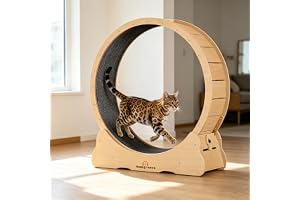 Homegroove Kattlöpningshjul för inomhuskatter, 117 cm stort XL kattlöpningshjul med mattad bana för Kittys längre liv, naturligt träfärg (XL)