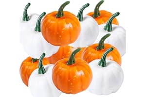 HBell 12pcs Small Artificial Lifelike Pumpkin Fall Harvest Mini Pumpkins for Home Garden,Fall Harvest Decor,Thanksgiving or Halloween Decoration (White, Orange)