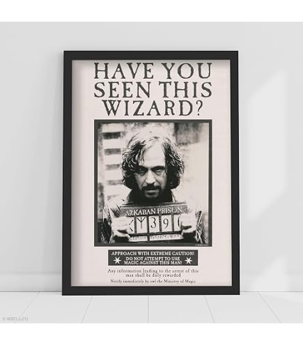 Poster Harry Potter Wanted Sirius Black - Affiche Iconique Multicolore 61 X 91,5 Cm Par Pyramid International
