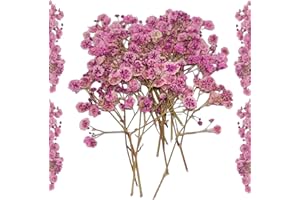 APICORT Trockenblumen zum Basteln Getrocknete Schleierkraut - 20 Stück Gepresste Baby’s Breath Deko Blumen Rosa für DIY, Kerzen, Harz, Schmuck, Nagelkunst & Deko Hochzeitsgeschenk