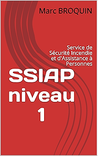 Agent De Prevention Et De Securite Aps Ebook Broquin Par Marc Amazon Fr