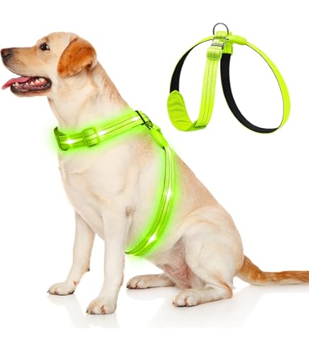 ChalkLit LED Hundeleine Wasserdicht - Wiederaufladbar 1,2m Mit Blinkfunktion