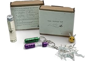 SMALL DOG BIG DREAMS Bee Revival Kit - 2 x Keyrings, Bee Feed, Seed Paper