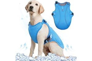 Kuoser Gilet de refroidissement pour chien - Manteau frais respirant réfléchissant - Bleu - XXL