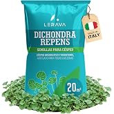 LERAVA&reg; Dichondra repens seeds [No cutting needed] - 20m2 - Drought resistance - Dichondra grass seeds ideal for shaded and s