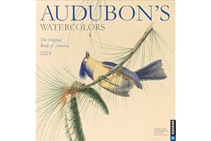 Audubon's Watercolors 2024 Wall Calendar