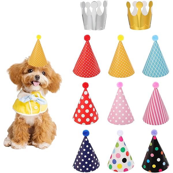 6 Stück Partyhüte Für Haustiere - Bunte Geburtstagshüte Für Hunde & Katzen Mit Pompoms