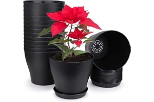KAHEIGN 10 st 14 cm plastkrukor växtbehållare inomhus blomkrukor med pallbrickor för kontor hus (14 x 12 cm