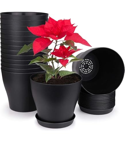 Plastard 100 Stück Anzuchttöpfe 8cm - Mit Kokoserde Und Untersetzern