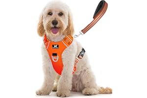 TUFFDOG Easy-Fit Dog Harness Medium - Fast Release Neck Clip, Premium Padded Reflective No Pull Harness with Control Handle, Adjustable Step-in Dog Vest Plus Free Matching Lead (M, Blaze Orange)