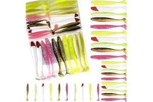 Funzhan Fishing Soft Lures for Bass Artificial Plastic Baits Paddle Tail Swimbaits Creature Shad Proven Colors Natural Oils Portable Box for Crappie Saltwater Freshwater