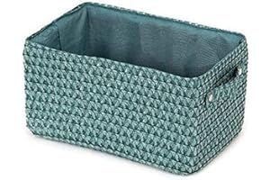 Compactor Lilou Cestino Portaoggetti Con Manici, Tessuto In Polipropilene e Cartone, 23 x 15 x 12 cm, Verde, RAN9699