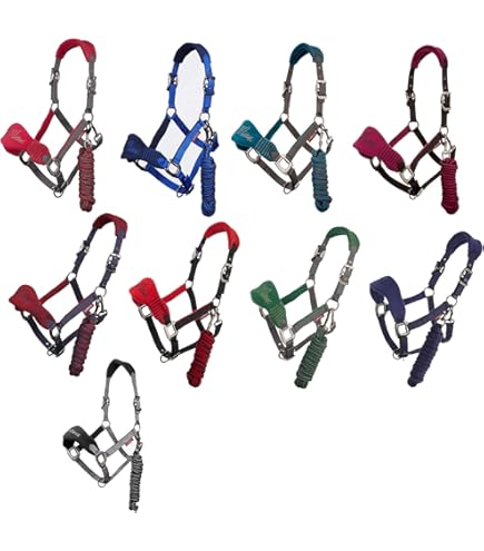 Perry Equestrian 515-PP0000BL Lot De 2 Chaînes Sur Plaque