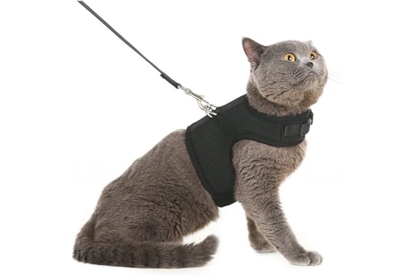 best cat harnesses