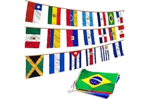 Anley Amérique Latine 20 Pays Drapeaux de chaîne - Assortiment de bannières de Drapeau Latino pour Les événements internationaux Conférence décoration de fête Sports Bars - 30 Ft 20 Drapeaux