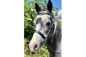 ABERWIEL SADDLERY Flat Hunter Snaffle Bridle with Rubber Reins - M&M/Native/Shetland/Cob/Show - All Sizes Black / Extra Full