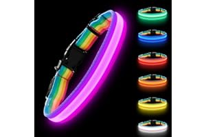 PETISAY Premium LED Dog Collar for Night Walking - Light up Dog Collar Cycle 7 Solid Colors - Lighted Dog Collars USB C Rechargeable - Waterproof Glow in The Dark Dog Collars - Adjustable, Fashion, Safety(M)