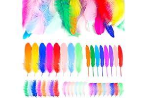 NEEROW 500 pcs Feathers for Crafting, Coloured Craft Feathers, 5 Styles Natural Goose Feather for Dream Catcher, DIY Crafts, Wedding, Home, Party Decorations (Mixed Coloured)