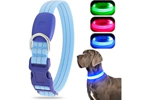 Chalklit LED Dog Collar, USB Rechargeable with Water Resistant, Reflective Glow-in-The-Dark Light up Dog Collar (Large, Blue)