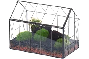 NCYP Terrario geométrico de Vidrio con Tapa para suculentas, Cactus pequeños, Caja Transparente Cerrada Hecha a Mano, 24x14x18,5 cm (Solo terrario, sin Plantas)