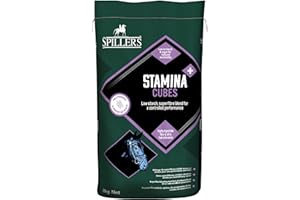 SPILLERS Stamina+ Cubes Horse Feed 20KG - Horse Food for Endurance and Performance - High in Fibre for Stamina - Supports Immune and Muscle Health and Athletic Performance