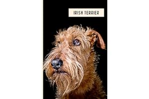Irish Terrier: Funny Wide Ruled Notebook Gift For Irish Terrier Lovers - Perfect Irish Terrier Gift On Valentine Day/Birthday/Halloween - 6 x 9 Inches - 110 Lined Pages