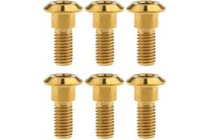 Ruifu Titanium M8 Disc Brake Rotor Gr5 Ti Bolts Screws 20 22 30 33 mm for Motorcycle Yamaha Suzuki (Pack of 6)