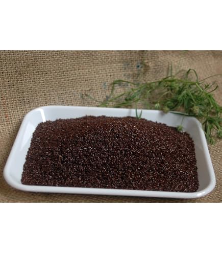 Psyllium Noir Graines Entières Séchées - 300g à 2kg - YouHerbIt - Qualité Alimentaire - Date Expiration 12/2027