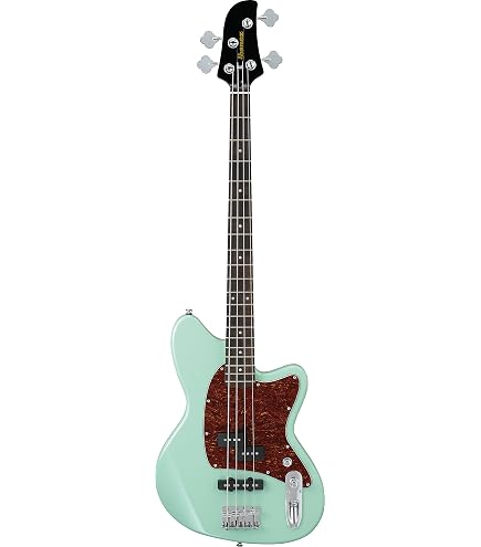 Ibanez Premium SR1605B - Bajo plano Caribbean Shoreline : Amazon