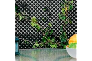 CATRAL Nortene | Celosia PVC 18 Mm 1x2 M Antracita | Decoración Exterior | Cerramientos Ambientes Modernos