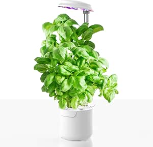 Serra Idroponica GOLUMUP 6 Baccelli - Con Luce LED A Timer, Sistema Di Coltivazione Indoor Per Piante
