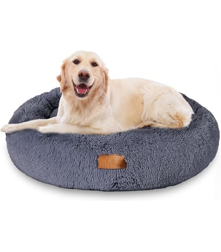 katzenfutter royal canin trockenfutter Royal Canin - Indoor Home Life