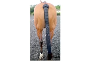 Mark Todd TOD312521 Tail Guard With Bag - Black, Regular