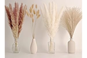 ANPROOR 65 Stk Piezas de Decoración de Pampas Grass, Que Incluye Pampas Florales Secas, Caña Seca y Flores de Cola de Ganchillo Secas. Ramos de Pampas Grass Natural para Bodas de Estilo Boho y Decoración del