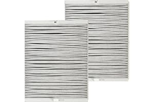 PUREBURG Paquete de 2 filtros HEPA + carbón activado 2 en 1 compatibles con purificador de aire Philips AC4072/11 número de pieza AC4147