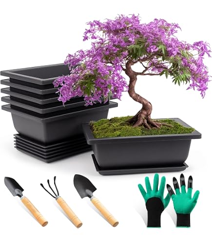 sourcing map Blhton 5-6mm 0.22 Pfund Garten Topf Blle fr Wachsen Vasen  Bonsai Rot: Amazon.de: Garten