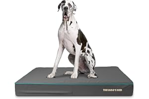 THE DOG'S BALLS Replacement Outer Cover (No Mattress) for The Dog's Bed Orthopaedic, Washable Oxford Fabric, XXL 137 x 91 x 15cm (Grey with Blue Piping)