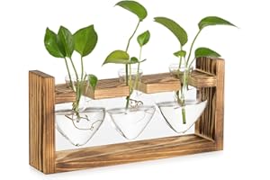 Glasseam Stacja do rozmnażania roślin: wazon na kwiaty z drewnianymi ramami w stylu vintage, zestaw do dekoracji wnętrz domu, kuchni, okna, biurko - 3 wazy na pąki rośliny, terrarium