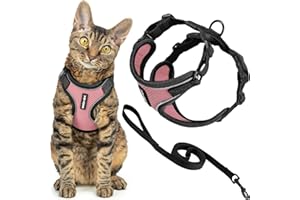 Best Pet Supplies Voyager Ensemble harnais et laisse anti-fugue avec coutures réfléchissantes, poignée néoprène, 1,5 m, pour chats de petite, moyenne et grande taille, rose/bordure noir, taille S