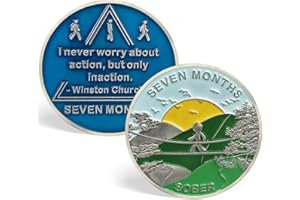 GENERIC 7 Month Sobriety Coin AA Chips and Medallions Seven Month Sobriety Chip Sobriety Gifts for Men Women Alcoholics Anonymous Gifts Addiction Recovery Gift