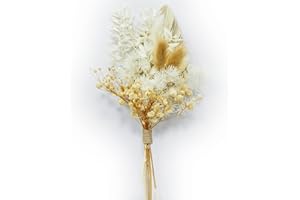 Bmeigo Natural Dried Flowers for Crafts Cakes, 5 Types Boho White Real Dried Flowers Leaves Set Palm Bunny Tail Million Star Everlasting Small Bouquet for Floral Decorations DIY Home Wedding Gifts