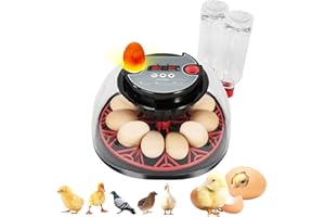 ‎EVIEUN Brutautomat Vollautomatisch 12 Eier, Vollautomatischer Inkubator mit Temperaturkontrolle und Feuchtigkeitsdisplay, Brutkasten mit automatischer Eierwendefunktion für Hühner, Enten und Wachteln