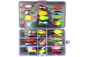 CHSEEO Kit di Esche da Pesca, 31Pcs Artificiale Pesca Richiamo Set Esche da Pesca Crankbaits Swimbait Cucchiaini da Pesca Attrezzatura di Pesca Esche Artificiali Perfetto per Pesca #1
