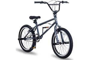 LSBIKE 20 Inch BMX Bike Freestyle BMX Bicycle with Black Steel Frame, 360° Rotatable Handlebar, Front & Rear Pegs, Aluminium Rims, Dual Brakes, for Teens & Adults