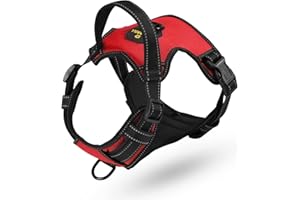 MASBRILL Pettorina Cane Taglia Media, Anti-treno, Regolabile Riflettenti Pettorina per Cani, Morbida Traspirante 2 Ganci in Metallo, per Camminare e Fare Jogging (Rosso M)