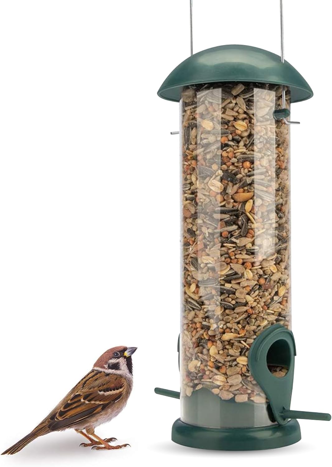 WILDLIFE FRIEND I Comedero para pájaros de Grano, Color Verde, con 2 Zonas de Acceso, estación de alimentación para pájaros, Columna de alimentación, Granos para Aves Silvestres (20cm)