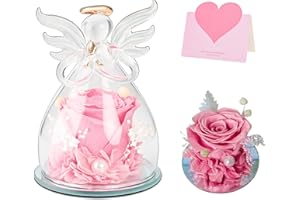 ANBET Eternal Rose in Glass Dome Christmas Pink Gifts for Women Angel Forever Rose Real Flowers Preserved Rose Mothers Day Valentines Day Birthday for Her
