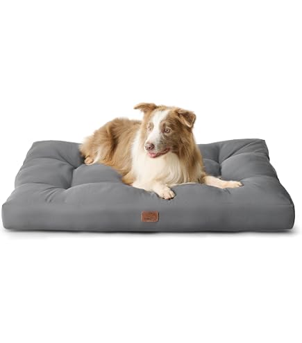 SUNNYDOGS Outdoor-Hundekissen fr Drauen 120 x 80 cm XXL | Robustes und  Wasserfestes Material | Liegekissen | Grn : Amazon.de: Haustier